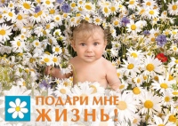 Всероссийскую акцию «Подари мне жизнь!» поддержали хабаровские верующие