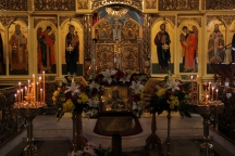IMG_8997.JPG