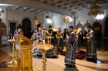 IMG_8876.jpg
