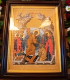 IMG_5412.jpg