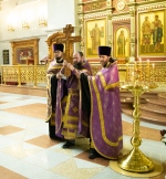 IMG_7338.jpg