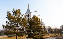 DSC05977.jpg