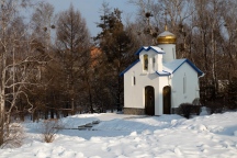 IMG_7179.jpg