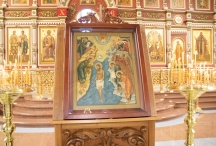 IMG_7996.jpg