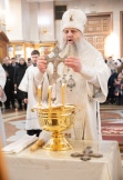 IMG_8388.jpg