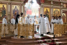 IMG_8496.jpg