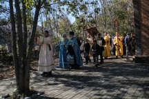 IMG_8629.jpg