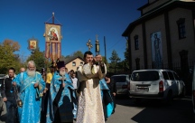 IMG_8646.jpg