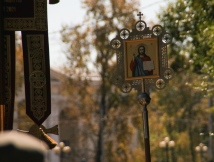 IMG_8736.jpg