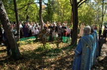 IMG_8761.jpg