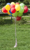 9SC_8676.jpg