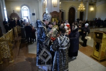 DSC_6517.JPG